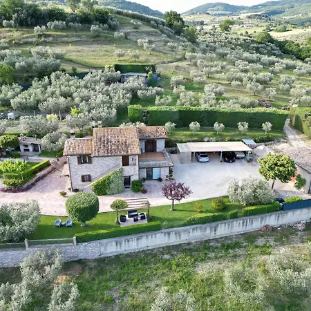 La Casa Tra Gli Ulivi-3